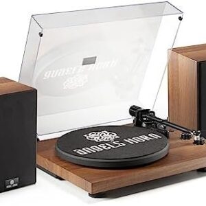 ANGELS HORN Vinyl Record Player, Hi-Fi System Bluetooth Turntable Players